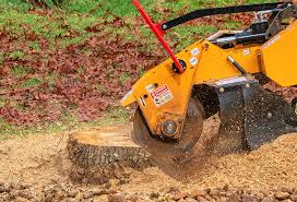 Best Utility Line Clearance  in Yorktown, IN