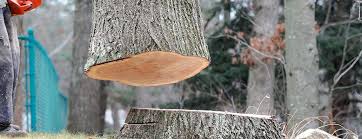  Yorktown, IN Tree Care Pros